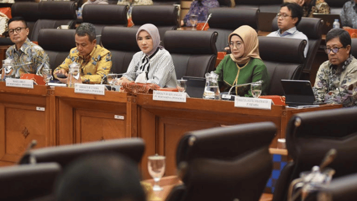 Direktur Utama PT Pertamina (Persero), Nicke Widyawati, pada Rapat Dengar Pendapat (RDP) DPR RI, 28 Mei 2024. Foto: msn.com