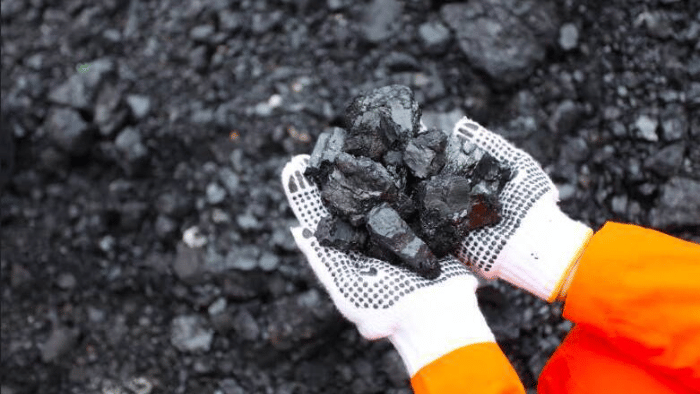 Sample batu bara milik PT Bukit Asam. Foto: PTBA